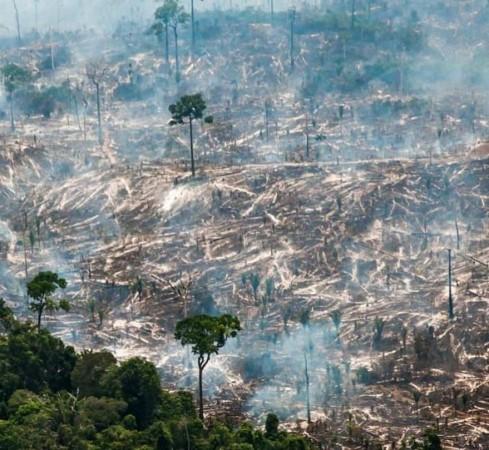 amazonas-el-infierno-detrás-del-incendio